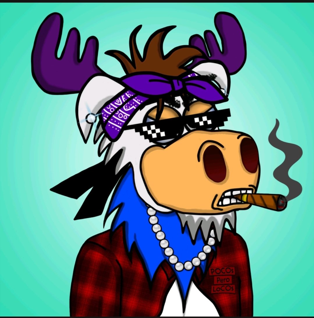 Loco Moose Club 🐮 tweet media