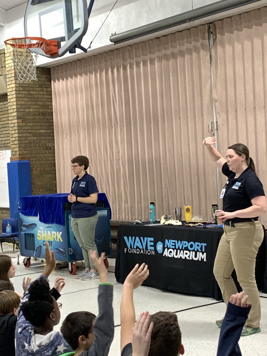 Kim Rees tweet media