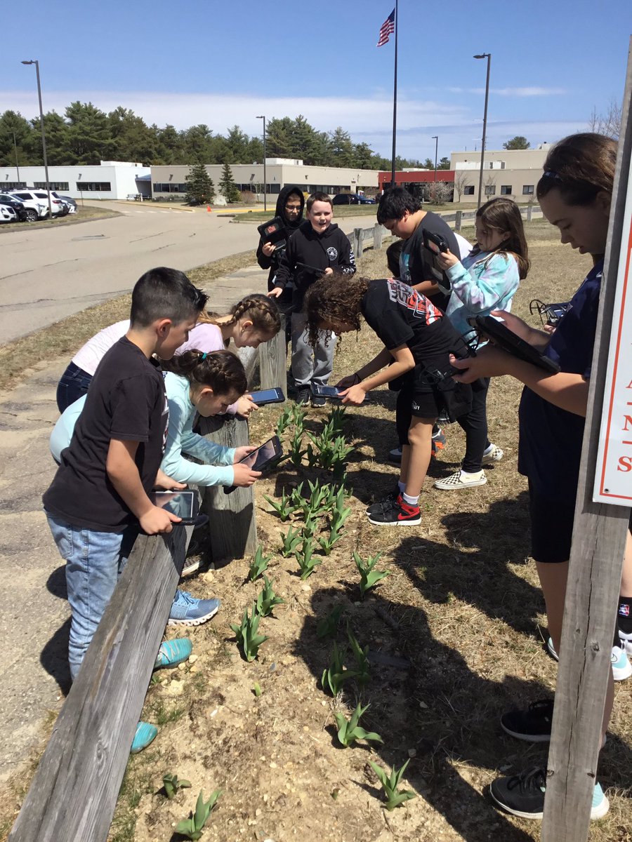 MrAlbertSES's tweet photo. Using edit and apple clips to document our signs of spring with @journeynorthED @pps_edtech @MassCUE outside time is fantastic. https://t.co/3MolWP47DS