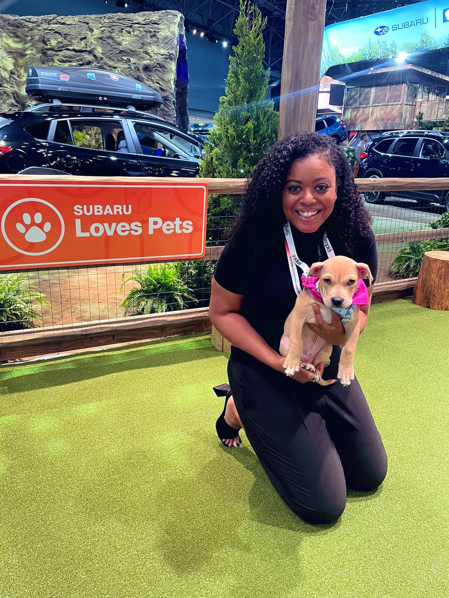 AriRaySpence's tweet photo. Made a new friend! @subaru_usa #SubaruLovesPets https://t.co/flg4U8xo2E