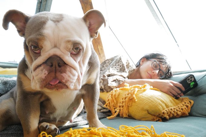 cozy! https://t.co/9wrSH0wzXy