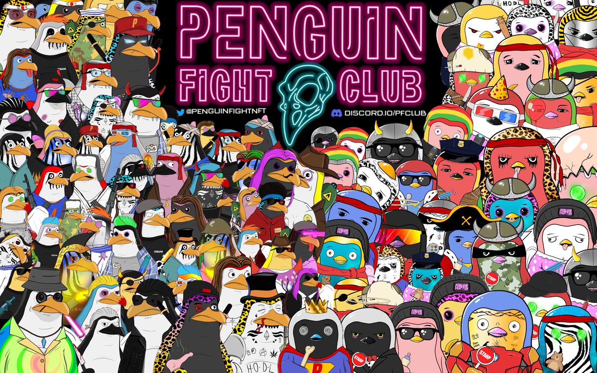 Penguin Fight Club 🐧 tweet media