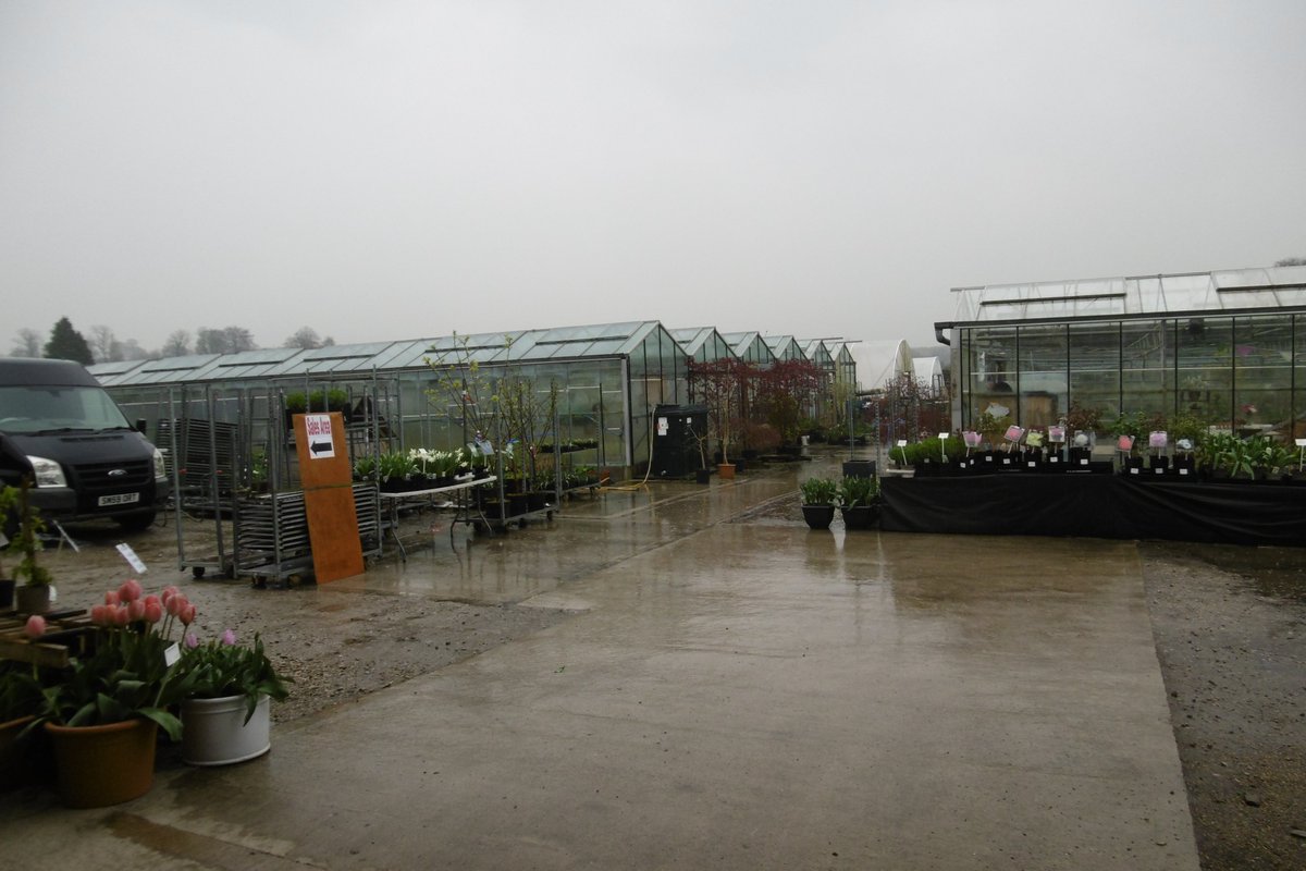 ScarisbrickRept's tweet photo. The #LGT event for April was a visit to #BrighterBloomsNursery #Preston hosted by #MathewSmith who explained the amount of work that goes into being a 5 successive times #ChelseaGoldMedal winner & a #SilverGilt in the first year. It rained. https://t.co/Nv9DIH12mk