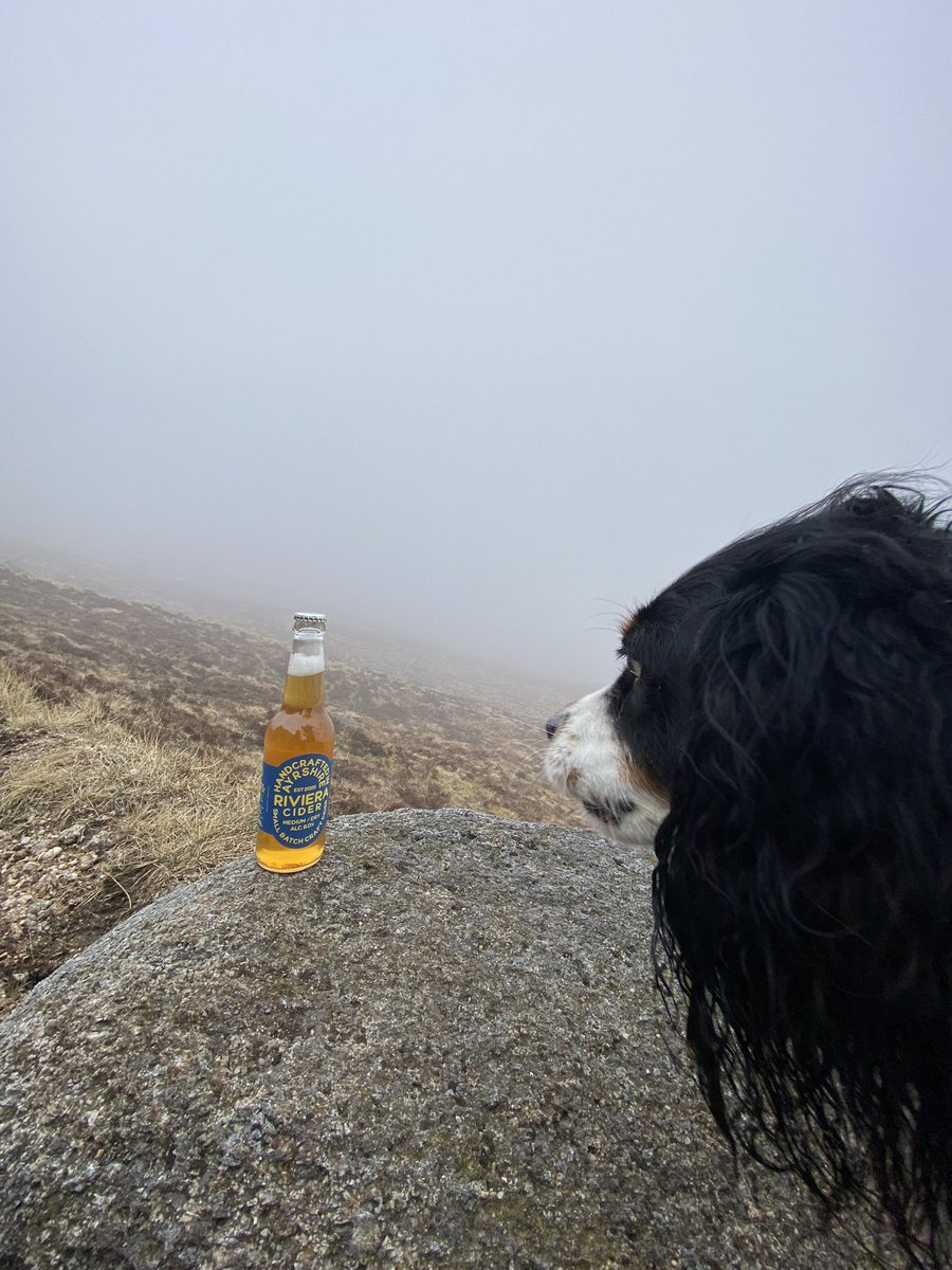 Baxter didn’t drink the cider!