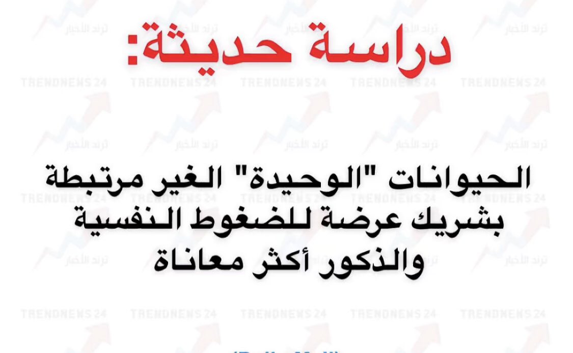 انقذونا 😂😂🤣