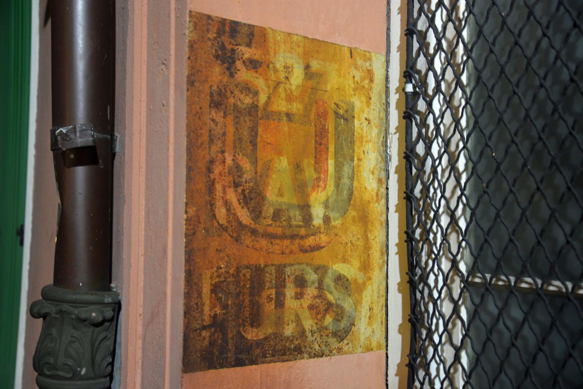 The Wild Images tweet media