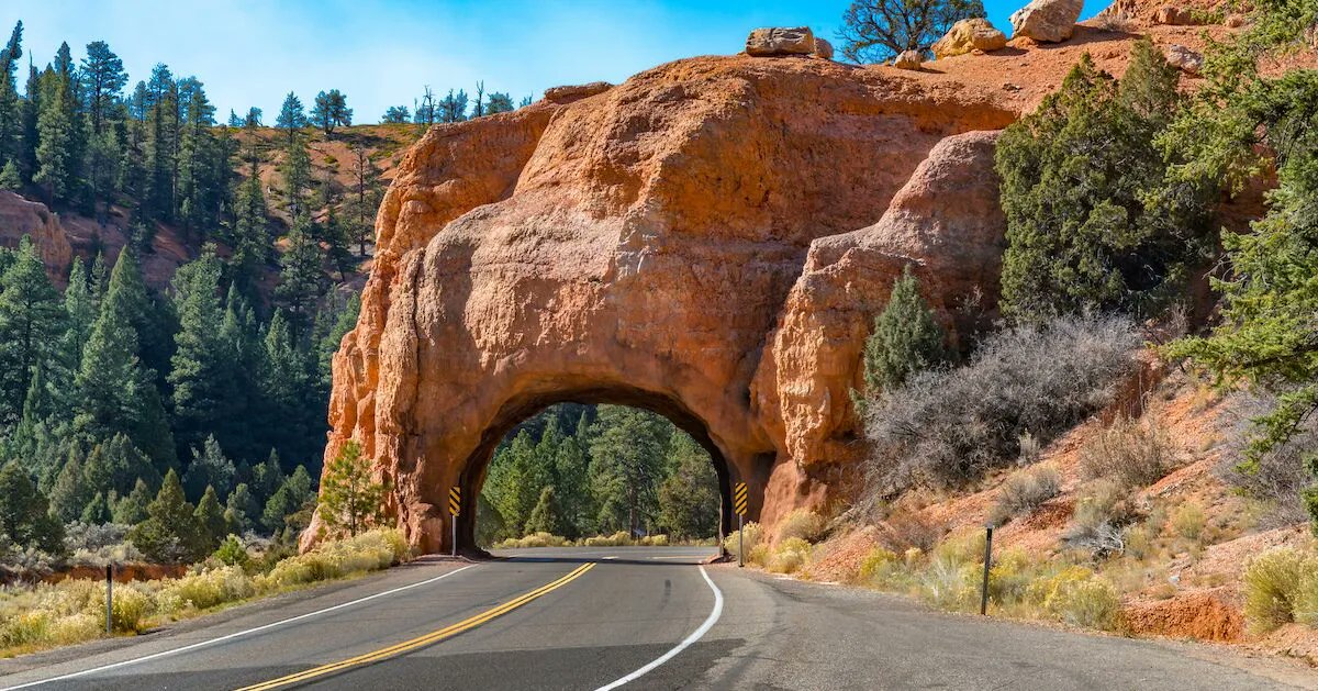 Trip30's tweet photo. These 12 Fan-Favorite Scenic Byways Are Some of the Best Road Trips in the US https://t.co/GdN4nWAue6 via @MatadorNetwork https://t.co/dUdr0QPoIs