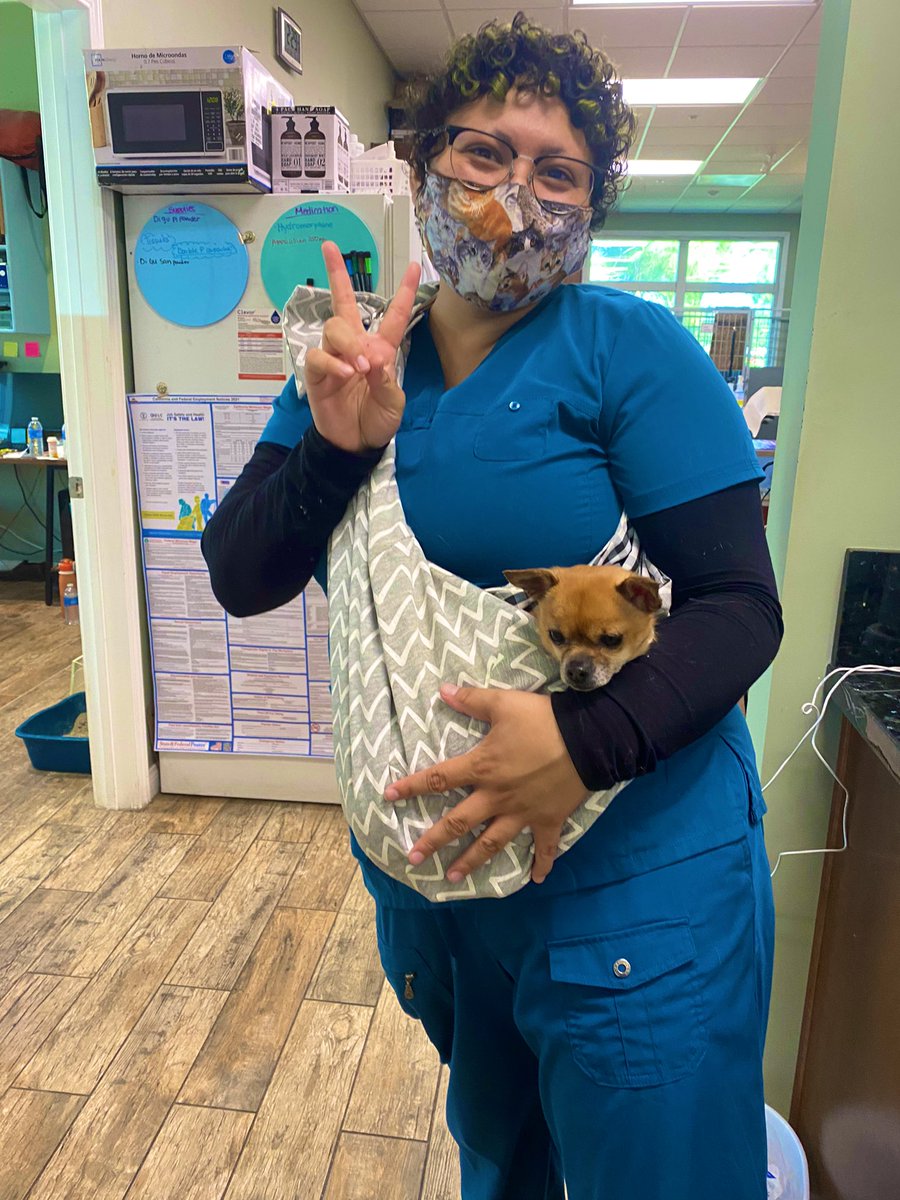 AllVetCare's tweet photo. This is one of our lovely technicians Cristina! She always gets requested to to do nail trims on all the cute fur babies that come in because of her awesome technique! Give our front desk a call to schedule a nail trim with her! 💅✌️💕 #AllVetCare  #VetsOfCamarillo #NailTrim https://t.co/MzZhmydxEp