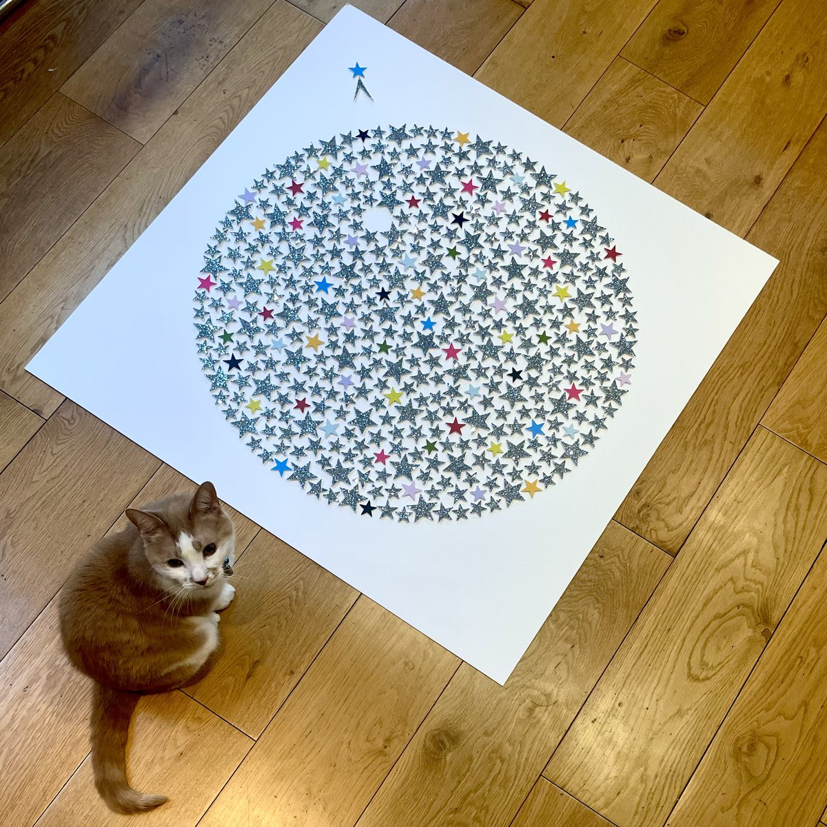 Cissy Cook tweet media