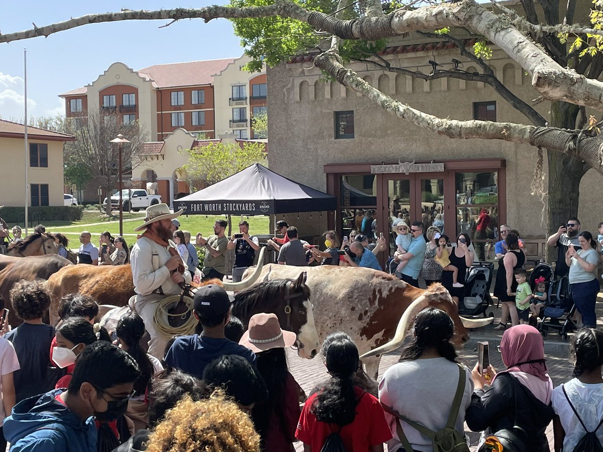 mrszoda's tweet photo. Beautiful and fun day for our 7th graders at the Ft. Worth Stockyards! #westfam #weststockyardsfieldtrip #texashistoryupclose https://t.co/5pDtqDZAi6
