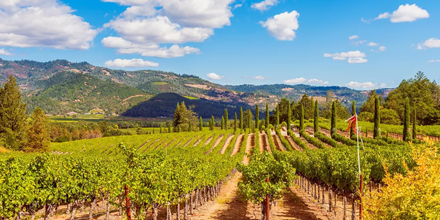 🇺🇸 Discover the Magic of Northern California on a 7-Day Guided Tour in the U.S. 🇺🇸
Savor the natural beauty and culinary delights of Northern California on a Limited-Edition Tour, traveling with a maximum of just 17 fellow guests 🤗  bit.ly/38Pyu5t
