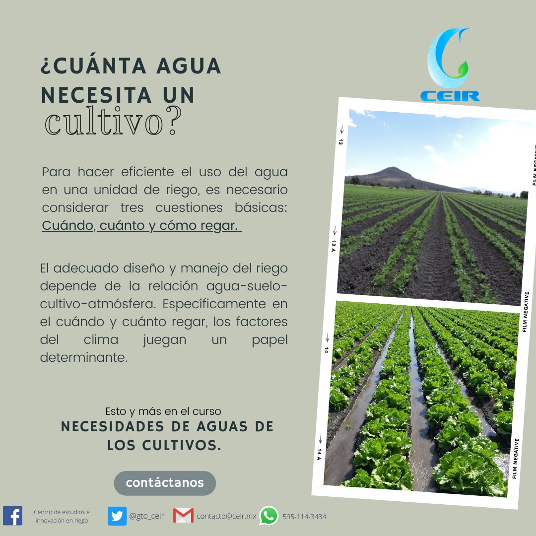 Determinar la cantidad de agua que necesitan los cultivos es el inicio para hacer uso eficiente del agua y la energía, ya que es un factor clave en el diseño y manejo de los sistemas de riego.

Participa en el curso Necesidades de Aguas de los Cultivos 💧onx.la/83eb2