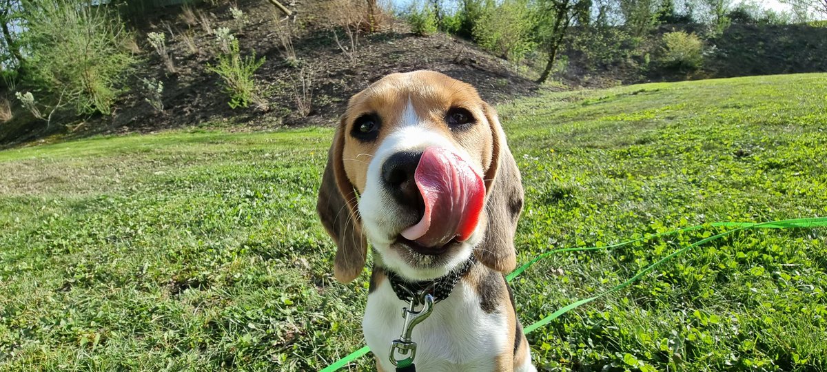 Oliver Sturman tweet media