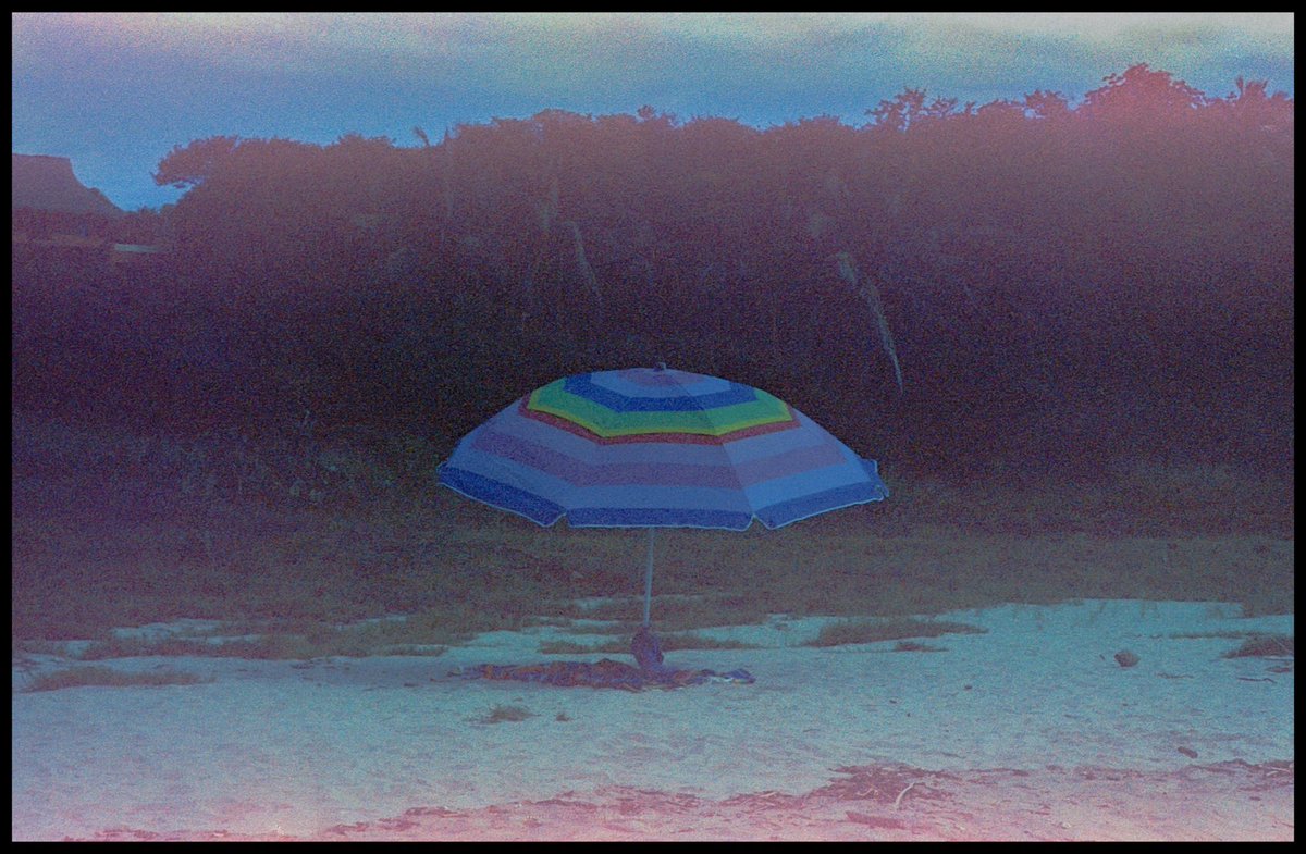 expired film 🤝 the photos