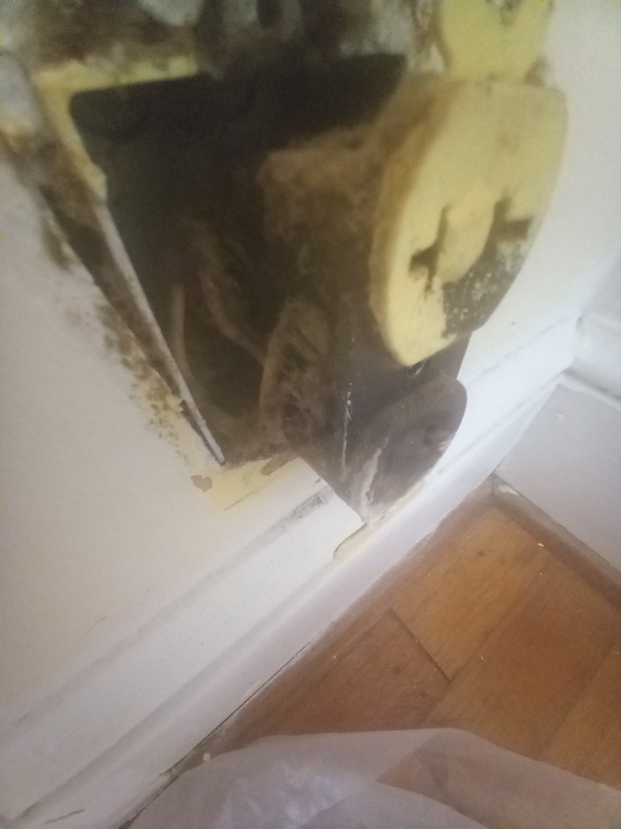 FriedrichFiles's tweet photo. #hiptip you really do need to open your switches and socket plates to clean. At least every thirty years.
Even if not replacing them. Can't be good to have filth layer filling in the cubic centimeters til ignition 👩🚒 https://t.co/GaTSeZ1zMx
