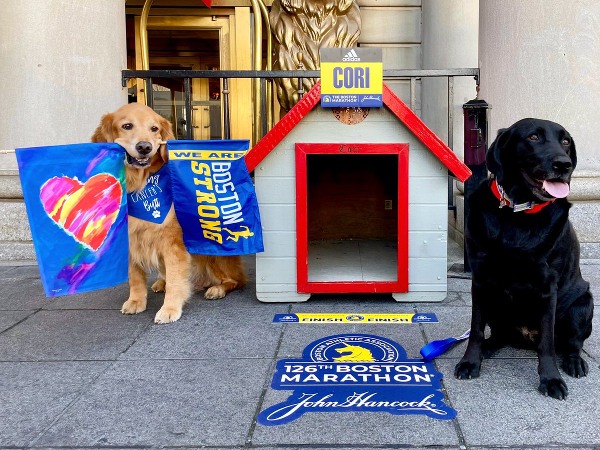 FairmontCopley's tweet photo. Today we welcomed Spencer “the marathon dog” to our hotel for a special day: the @bostonmarathon named him the Official Dog of the 126th Marathon!🏅Spencer is an icon on the race route every year, cheering on runners with his Boston Strong flag. He also got to meet Cori Copley! https://t.co/pX1pNqj0Xz