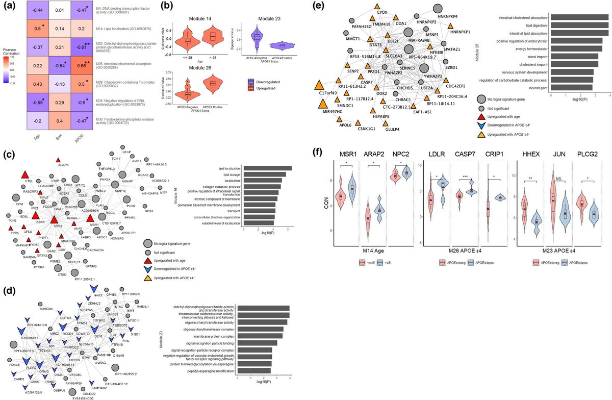 Nilufer Ertekin-Taner, MD, PhD tweet media