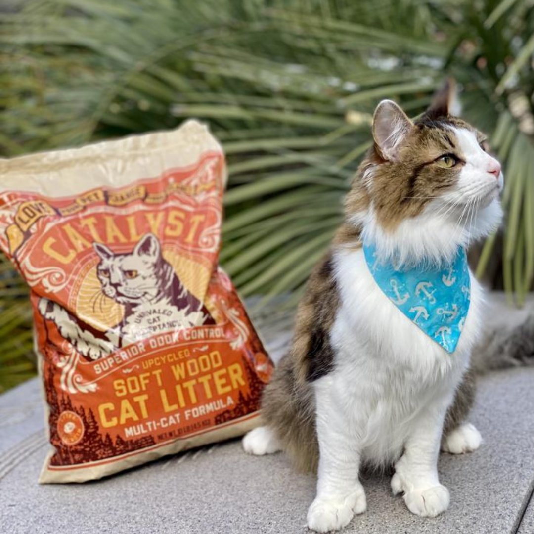 Catalyst Pet tweet media