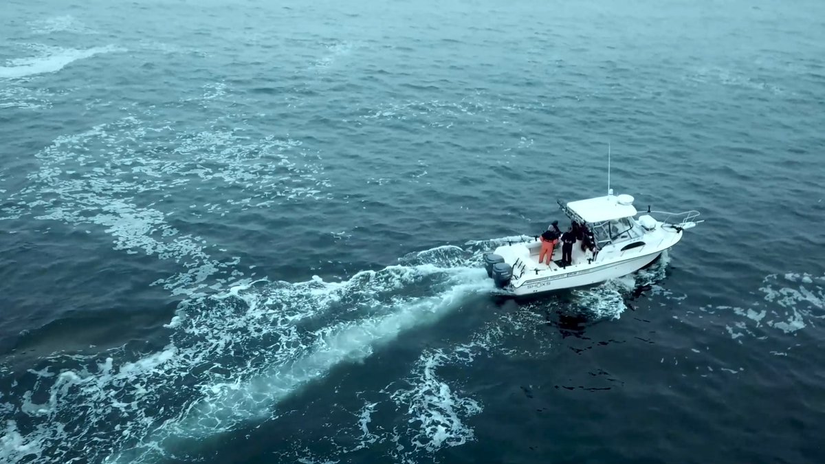 ALLSALT Maritime tweet media