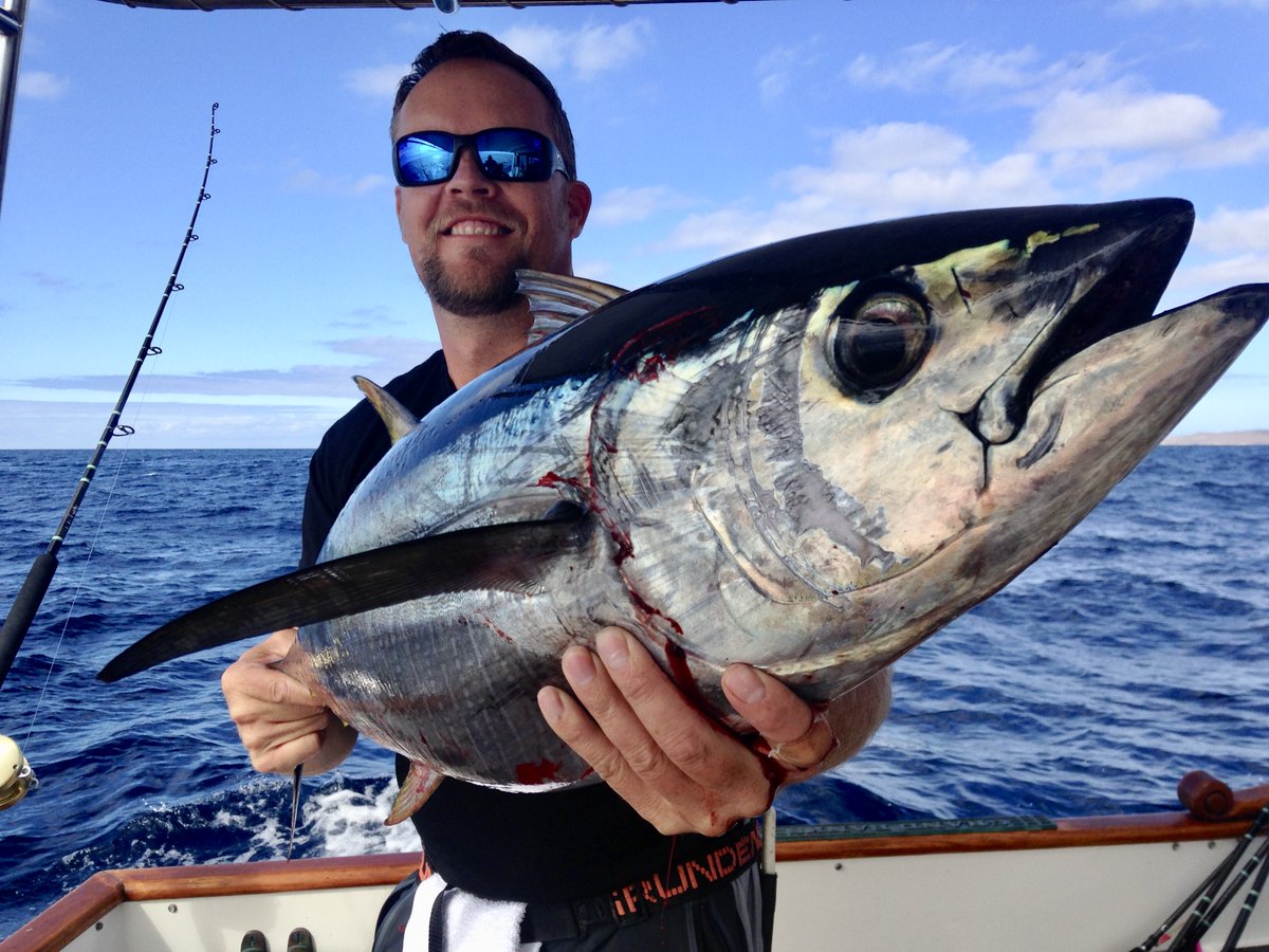 ALLSALT Maritime tweet media