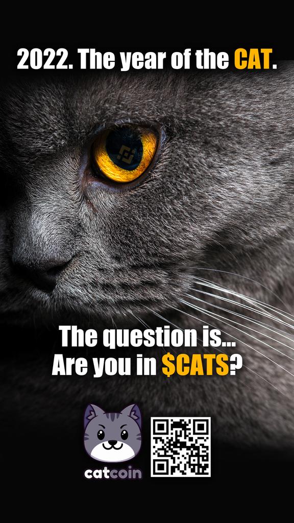 <a href="/Catcoinbsc/">Catcoin</a> <a href="/cz_binance/">CZ 🔶 BNB</a>