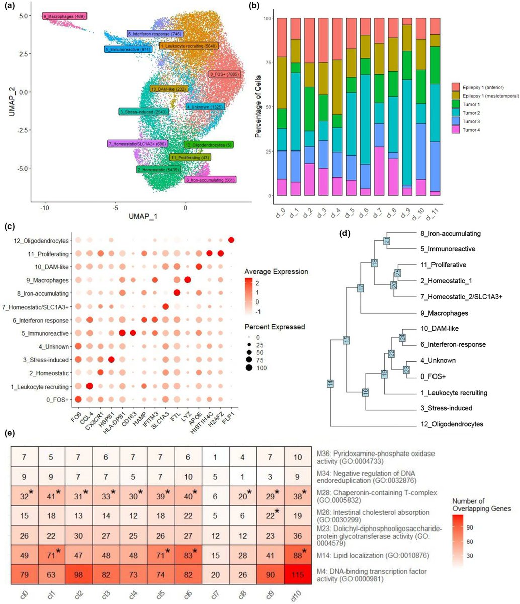 Nilufer Ertekin-Taner, MD, PhD tweet media