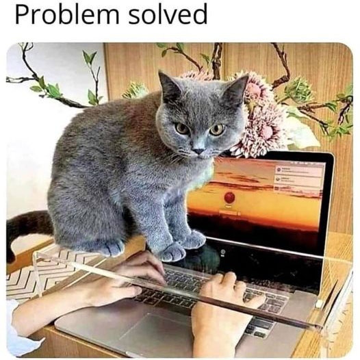 LushCatMemes's tweet photo. Why didn't I think of this??
😹🐈🐾
#lol #funny
#cats #catlover #catoftheday
#memes #memesdaily #funnymemes https://t.co/LqqZexnNeu