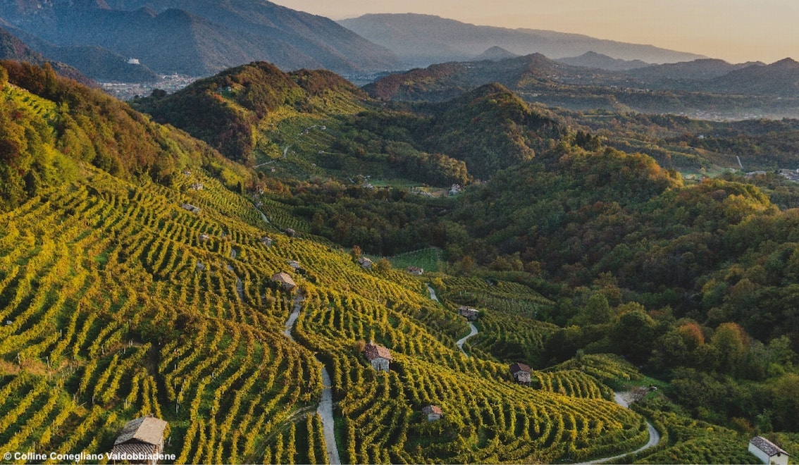 TurismoItaliaNw's tweet photo. A tutto cycling tra i patrimoni Unesco: tre appuntamenti tra le Colline del Prosecco di Conegliano e Valdobbiadene
Leggi la notizia https://t.co/OvAH5WyKeQ
#cycling #collineconeglianovaldobbiadene #bici #bike #turismo #enoturismo #BIT2022 @ProseccoDOC https://t.co/p63TTvu1l0