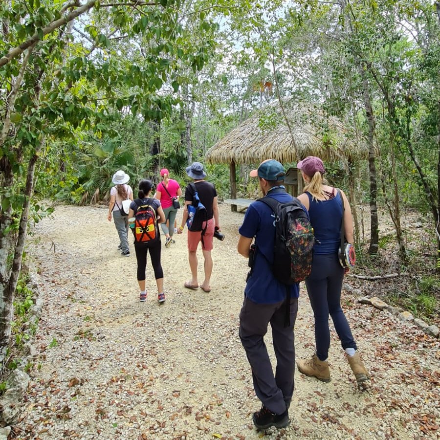 @caymanbirding tweet media
