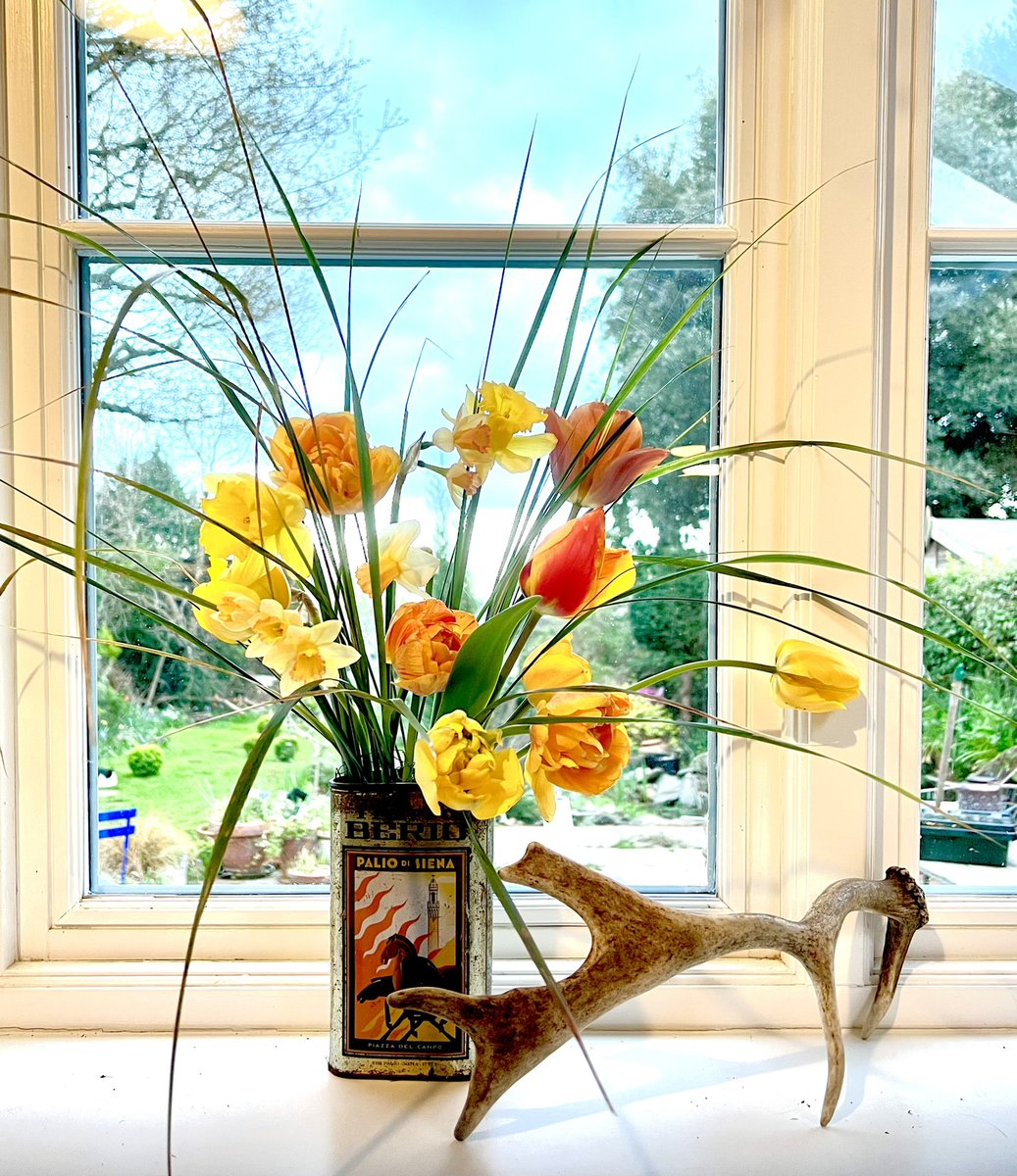 theremaybebugs's tweet photo. #windowsillwednesday
#happyplace
 Same windowsill, different days https://t.co/lQCIa7YoCI