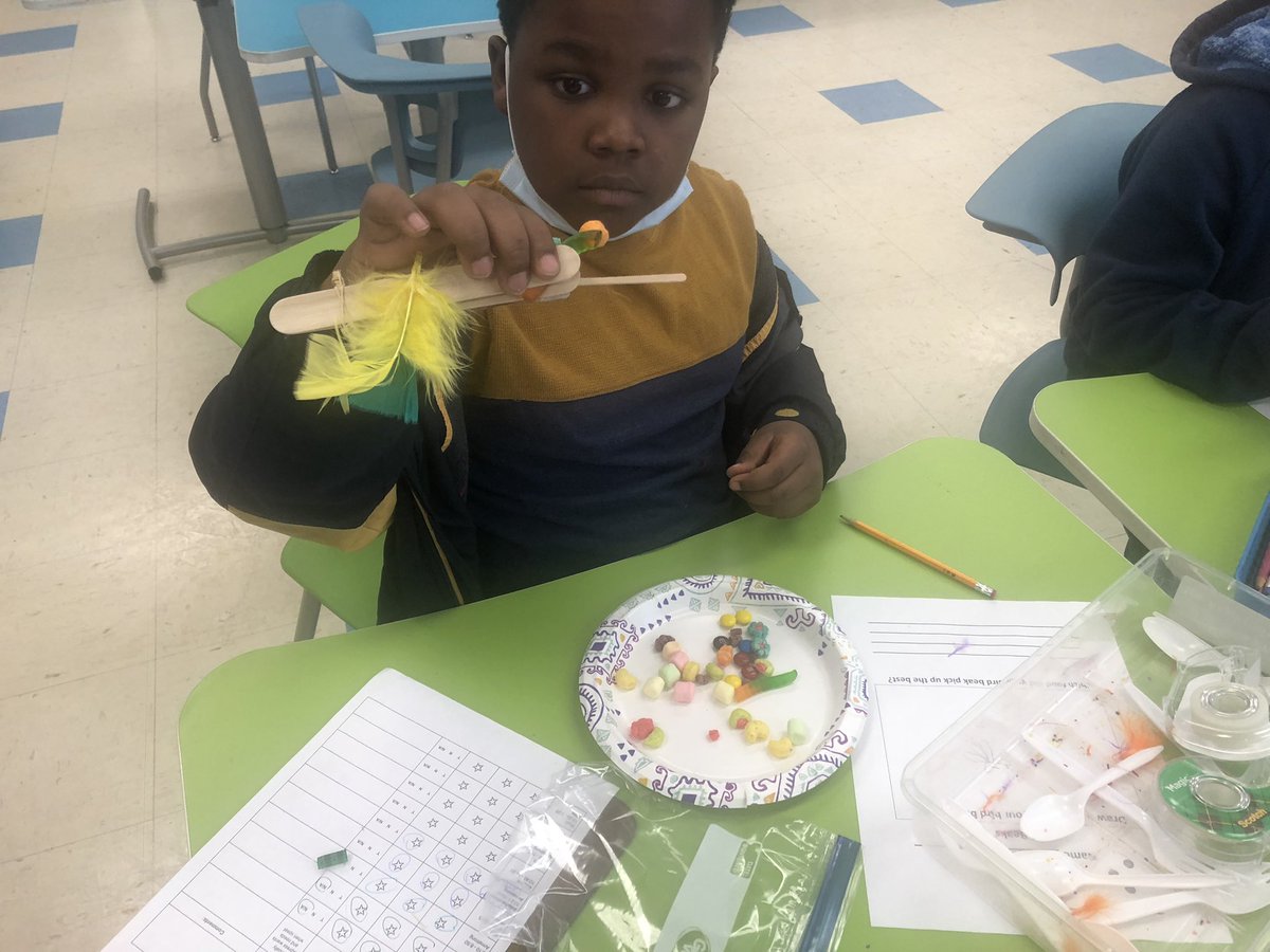 3rd grade designed and tested bird bills to she they adapt to eat certain foods. <a href="/DionneSturdiva1/">Dionne Sturdivant</a> <a href="/janfirst/">Janice Rickey</a>