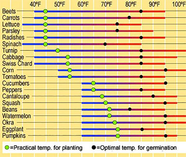 Optimum soil temp for planting from seed. https://t.co/LGaoyEcswo