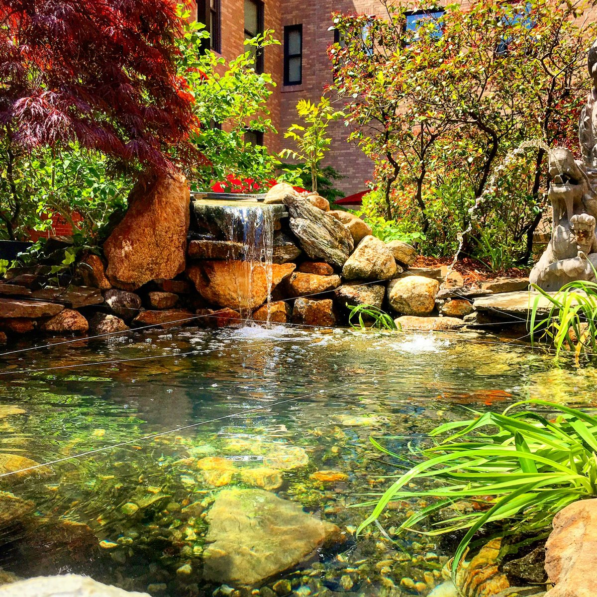 Tranquil Water Gardens 2 (@tranquilwg2) on Twitter photo You can rest easy with service this breezy. You can rest easy with service this breezy.
