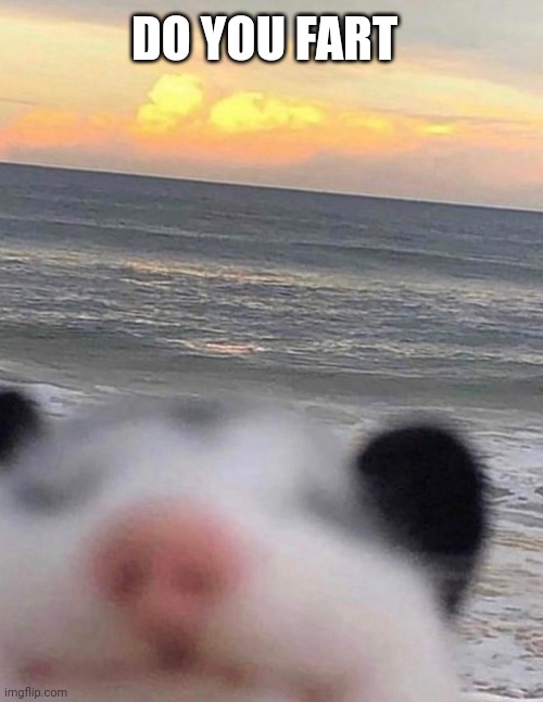 opossumswithvgm's tweet image. plz respond