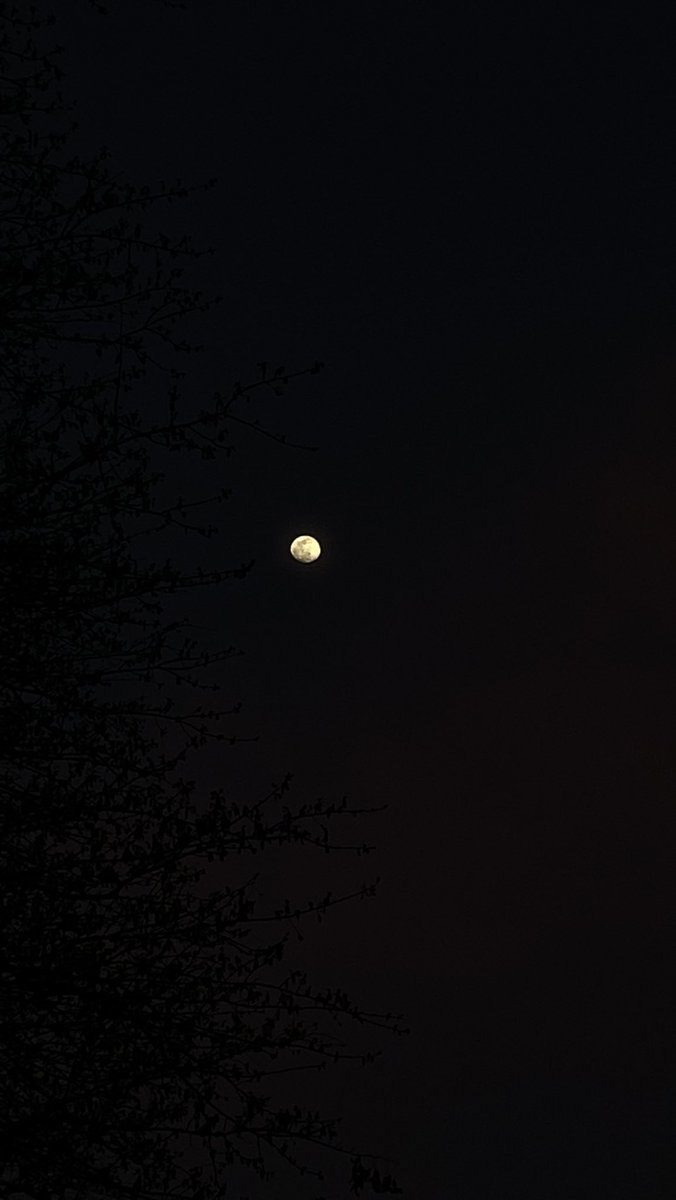 Gemx___'s tweet photo. Hello moon 🌝. https://t.co/NTfpeA6cJA