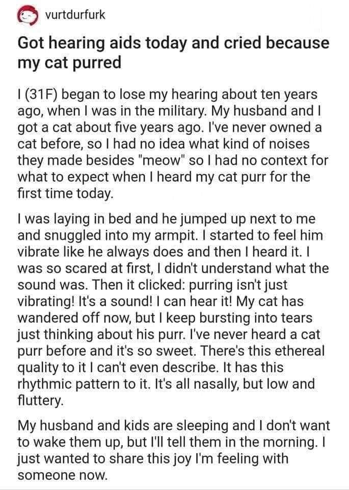 WholesomeMeme's tweet photo. https://t.co/182hIXW8G3