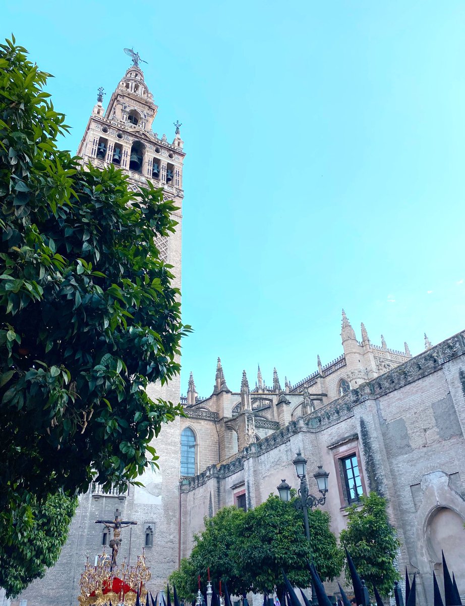 LidiaCampillo's tweet photo. Sevilla en primavera
#SSantaSevilla2022 https://t.co/2O0gSdXgJQ