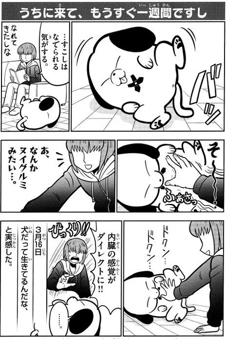 2話の7「うちにきてもうすぐ一週間ですし」 #天才犬レオ 