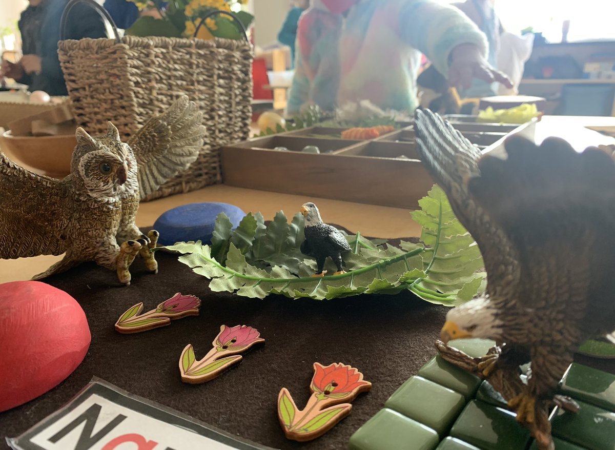 Laura Fee tweet media