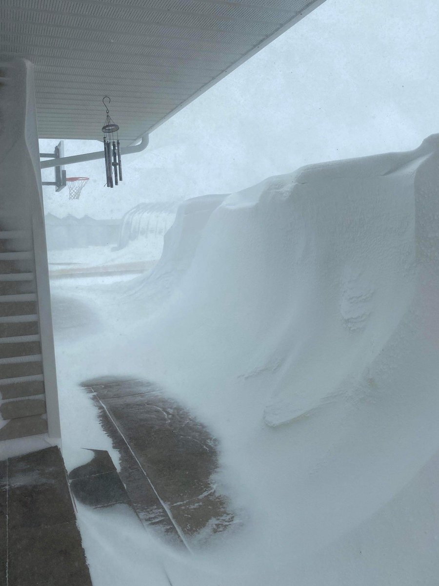 Lydia Blume tweet media