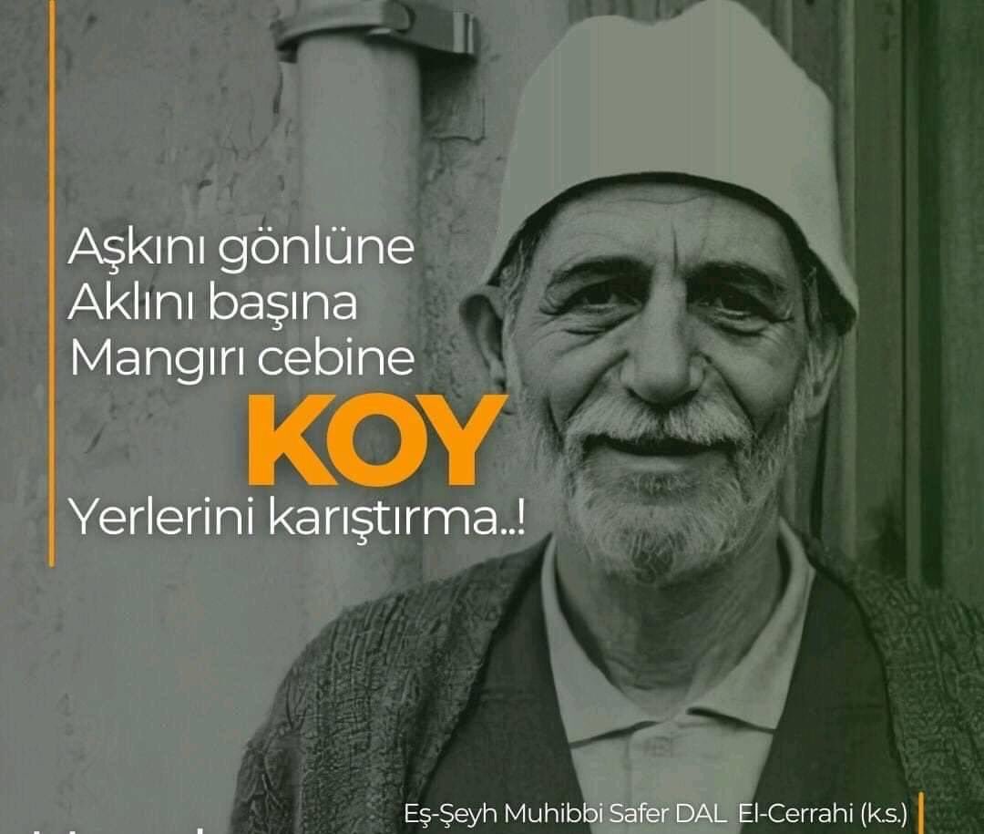 Aşkını gönlüne,
Aklını başına,
Mangırı cebine koy.

Yerlerini karıştırma...

Muhibbî Safer Dal Efendi