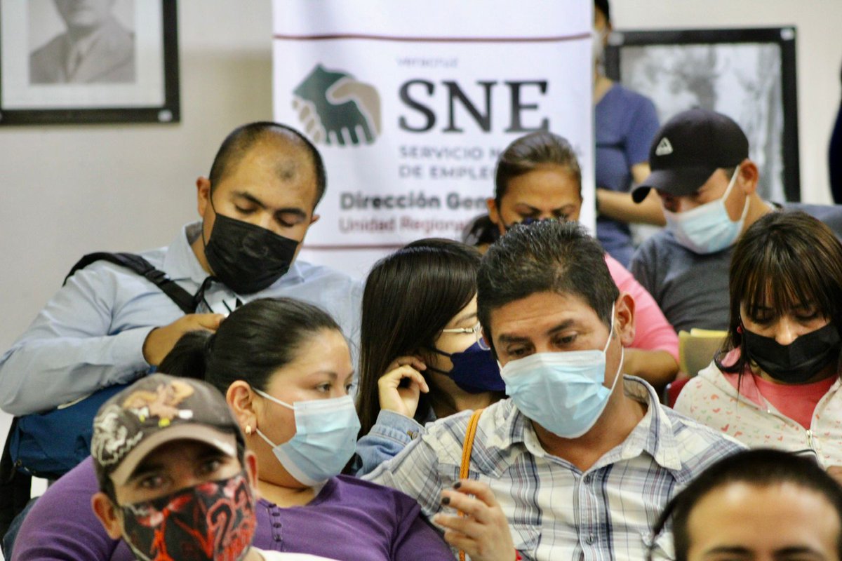 STPSPveracruz1's tweet photo. Gracias al trabajo junto al Servicio Nacional de Empleo Veracruz (#SNEVER) seguimos ofreciendo una vinculación laboral efectiva, segura y ordenada para todas y todos los veracruzanos. https://t.co/mnOneWhkAC