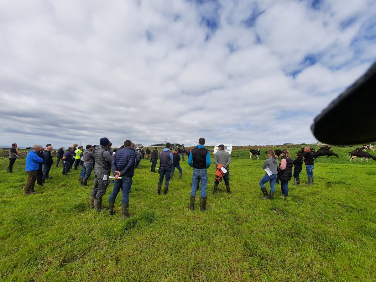 McEvoy_M's tweet photo. Felt like summer today in Kerry on @Joe_carroll21 farm walk with @TeagascKyLk and @KerryAgribus1 good turnout and lots of info on nutrient management, clover establishment and breeding @Germinal_Ire https://t.co/2NN9eGRPkl