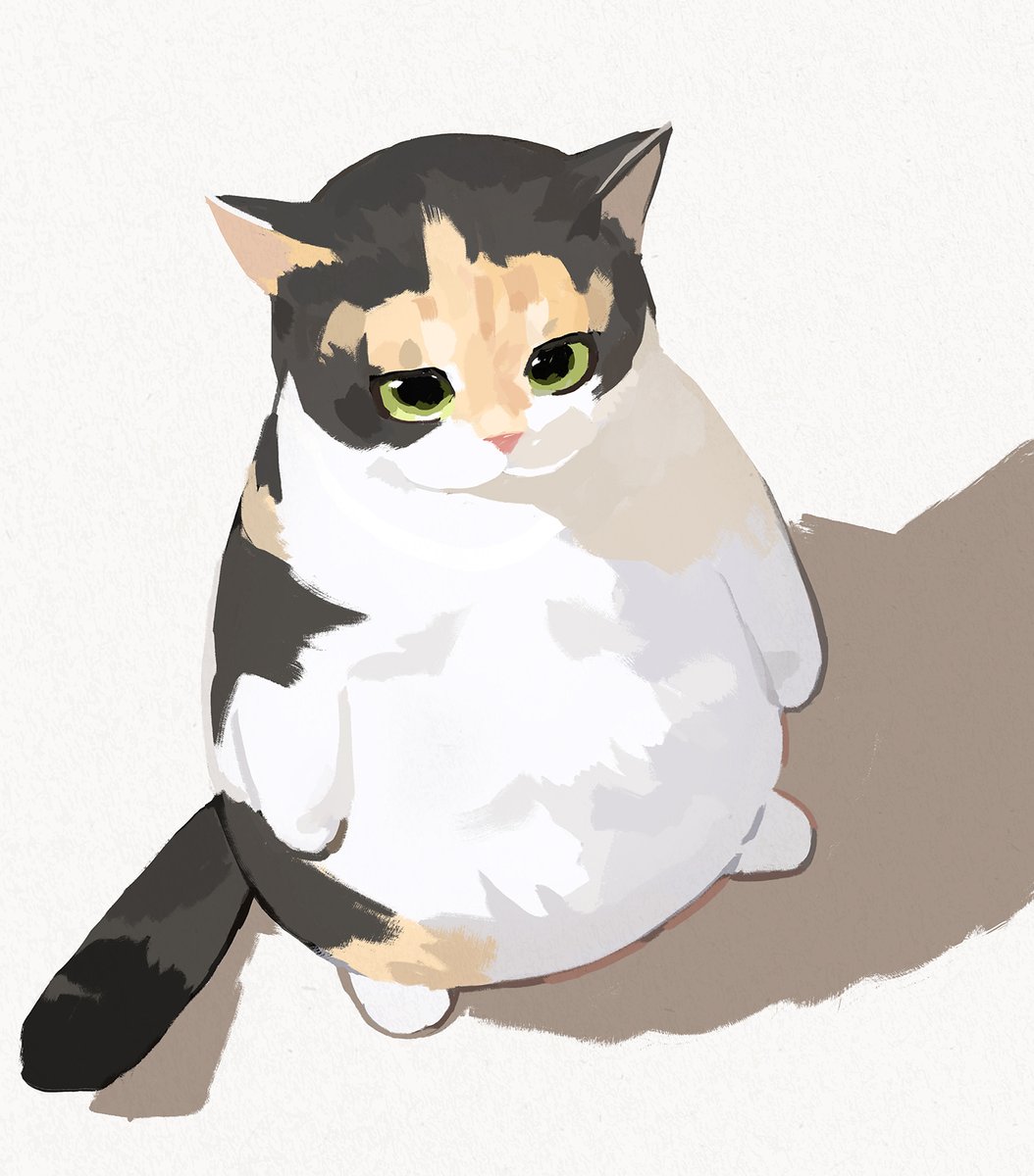 gentleeeeeeecat's tweet photo. https://t.co/mESTTFqQE6