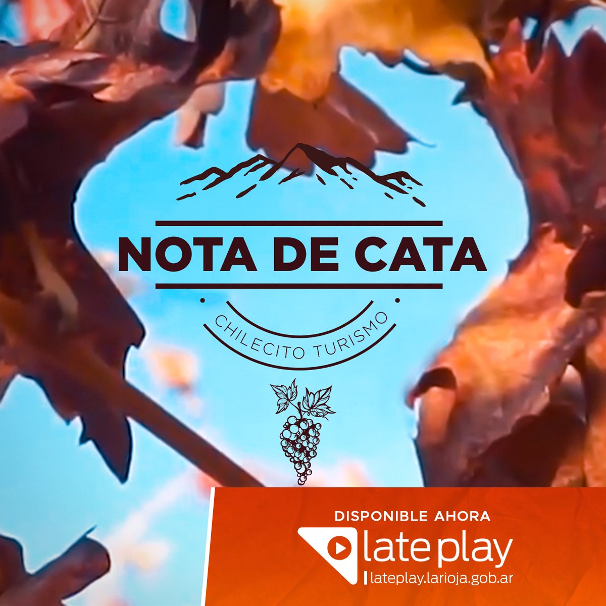 LatePlay's tweet photo. En la semana del Malbec te invitamos a ver en #Lateplay está producción de la Sec de turismo @gobmunchilecito donde recorre fincas, viñedos y la producción vitivinícola local sumado a deslumbrantes paisajes naturales del Dpto Chilecito.
👉https://t.co/seaUKJEhVo
@comunicacionlr https://t.co/K4n99TuLwt