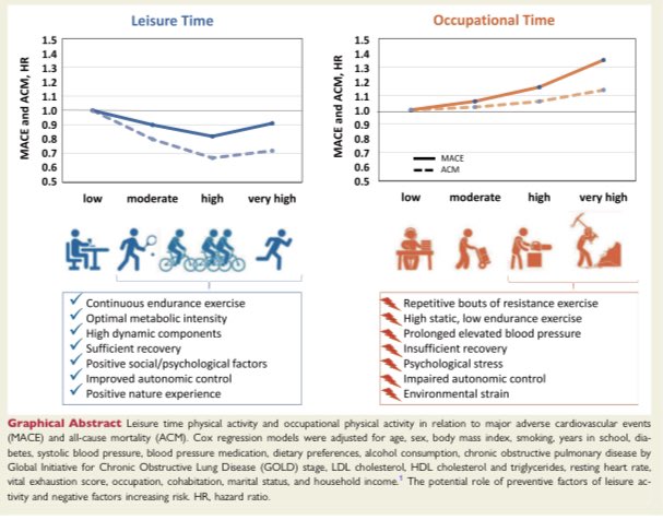 Pieter Coenen tweet media