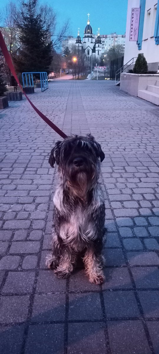 Greetings to all from  quiet evening Lviv