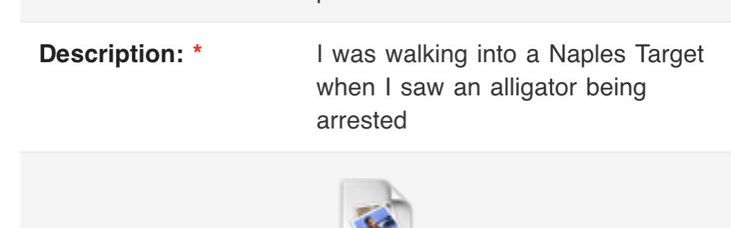 kylagaler's tweet photo. The kinds of news tips we get in Florida https://t.co/4l23GWpw4w