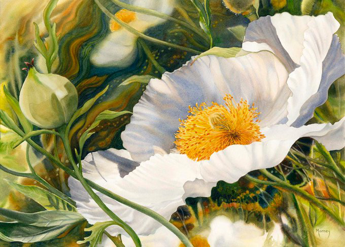 floresimosquera's tweet photo. #flor ... !
#marney https://t.co/TBWDsVKpgh