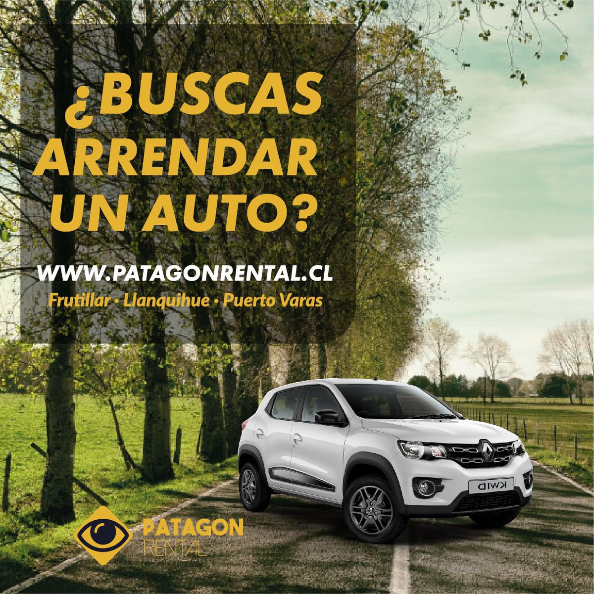 guillermo domich canales tweet media